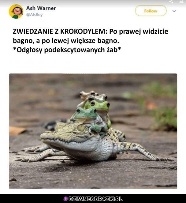 Wycieczka