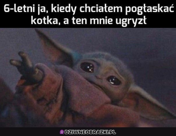 Tak było