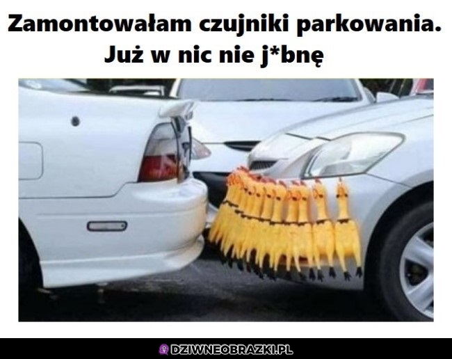 Czujniki