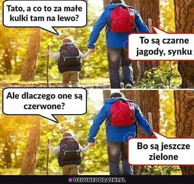 I wszystko jasne I wszystko jasne