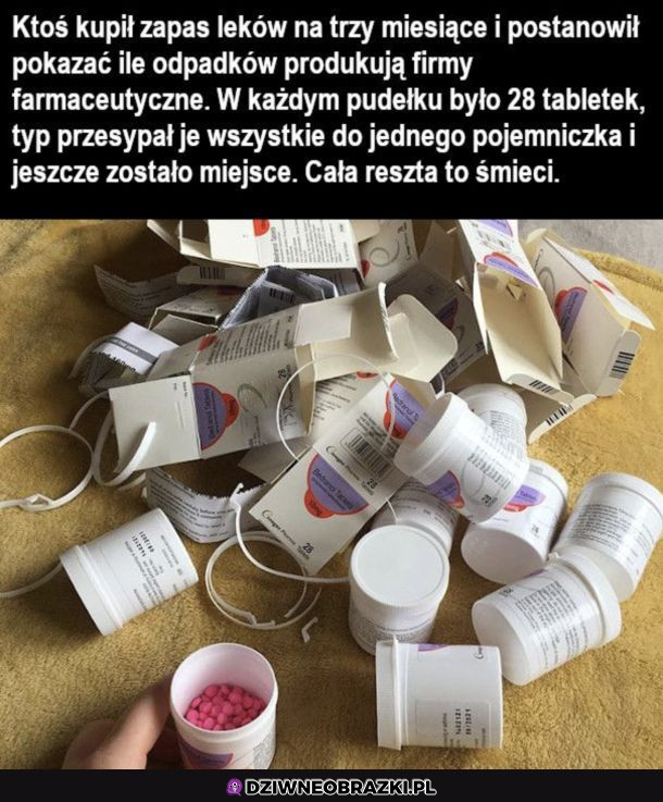 Eco firmy