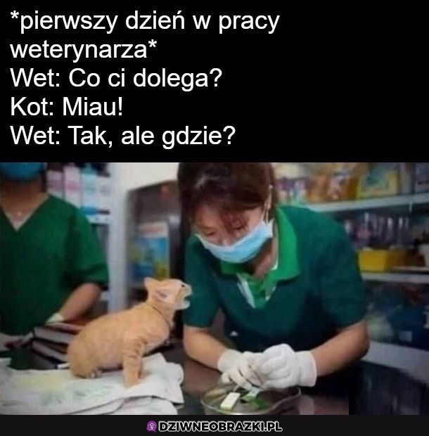 Pierwszy dzień w pracy