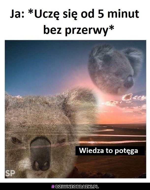 Kiedy uczę się przez 5 minut