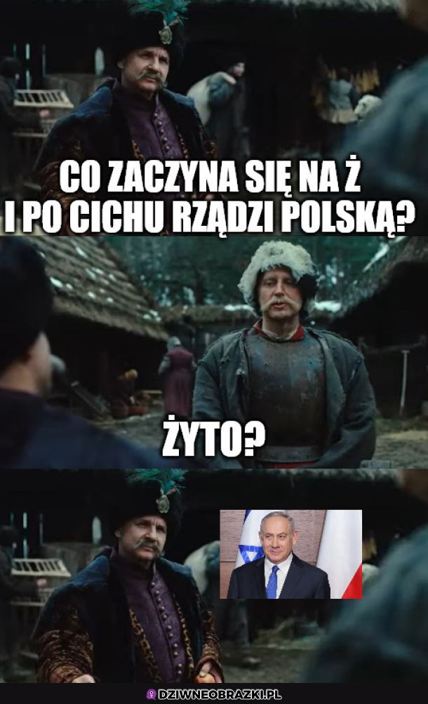 Żyto