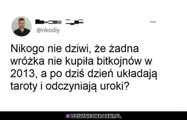 Właśnie