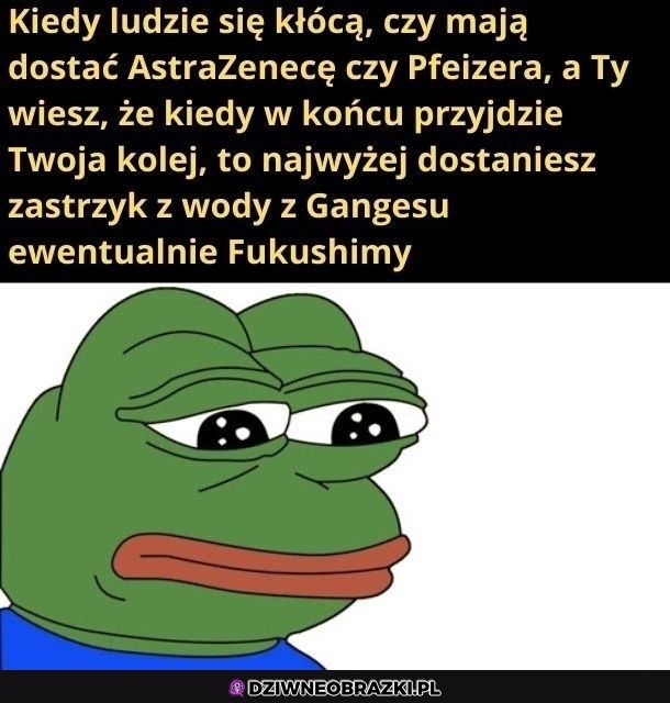Bez kitu chce już szczepionkę