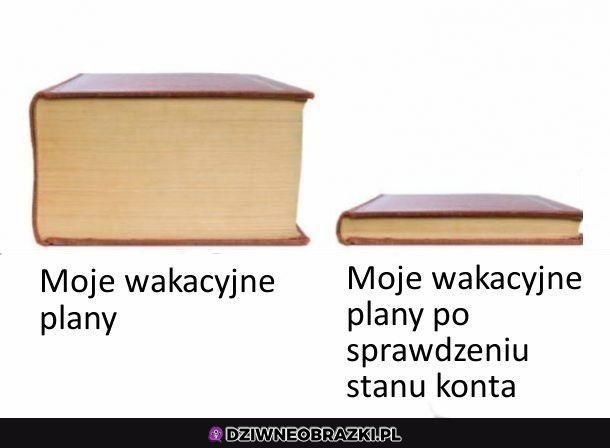 Plany na wakacje