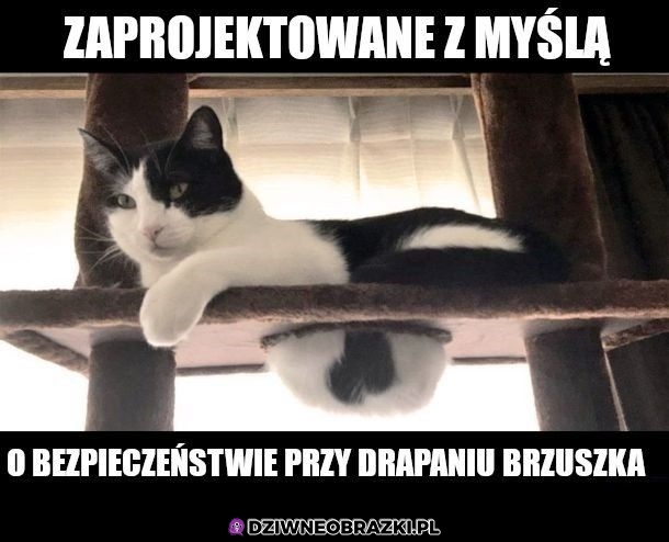 Można tykać brzuszek