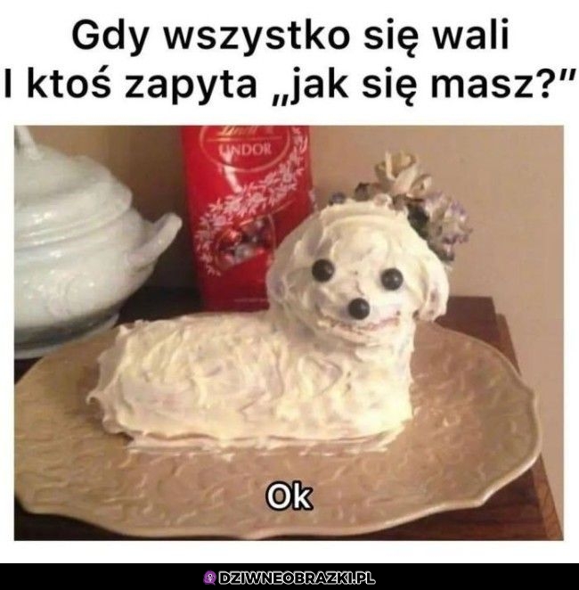 Tak się mam