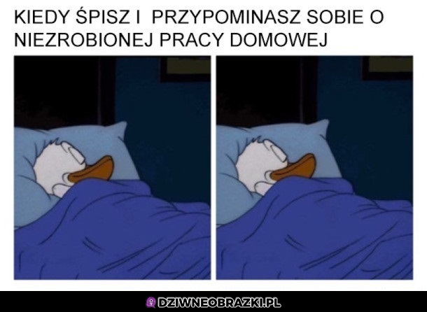 Bez spiny