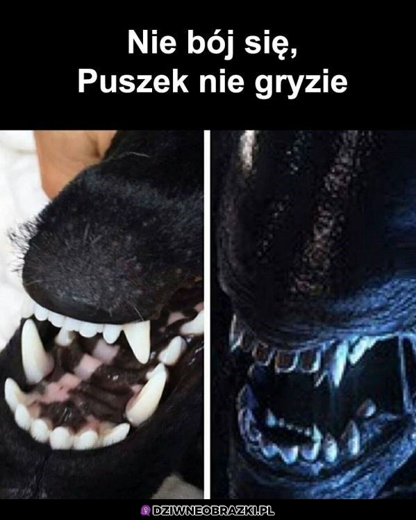 Jakoś nie wierzę