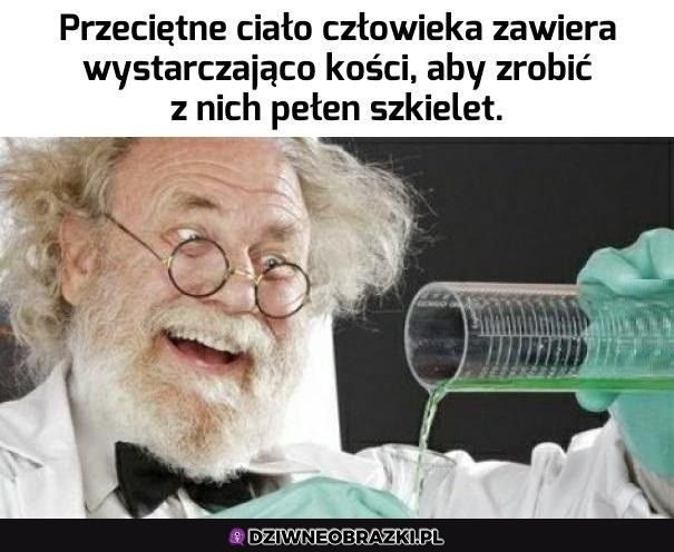 Niesamowite odkrycie