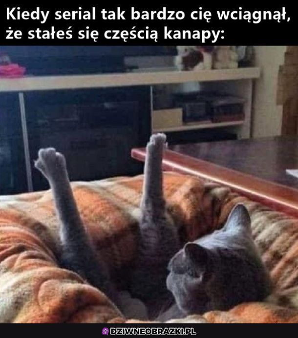 Dobry serial