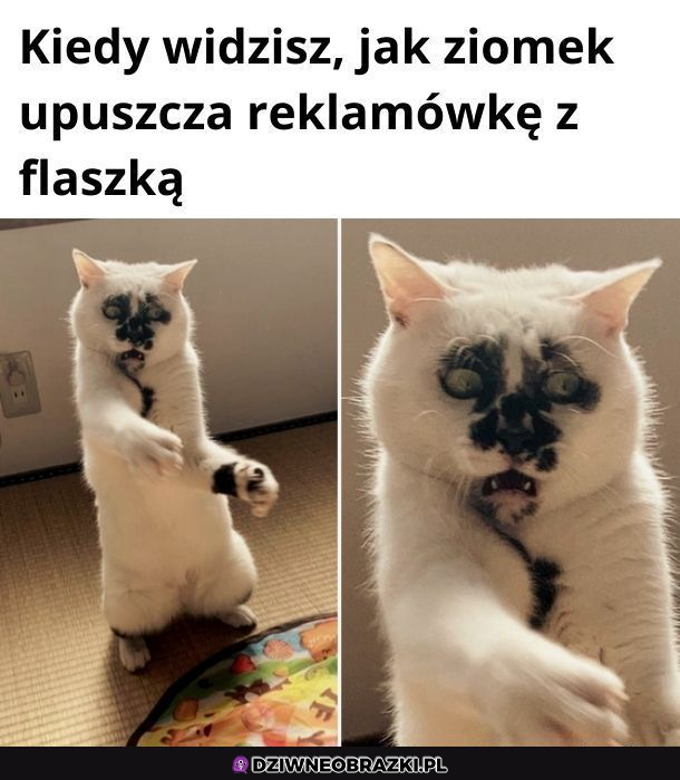 Upsii