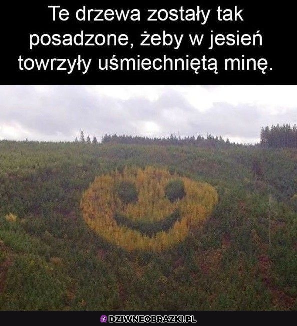 No i fajnie