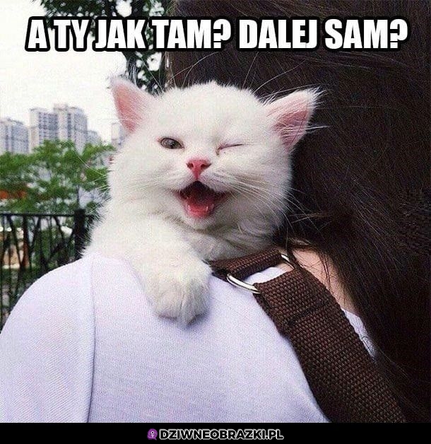 A ty jak tam?