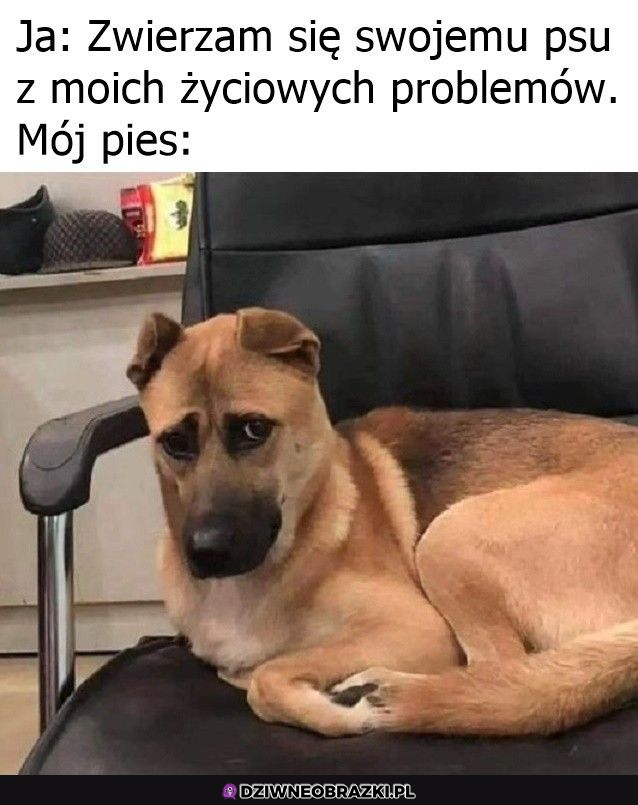 To za dużo dla niego...