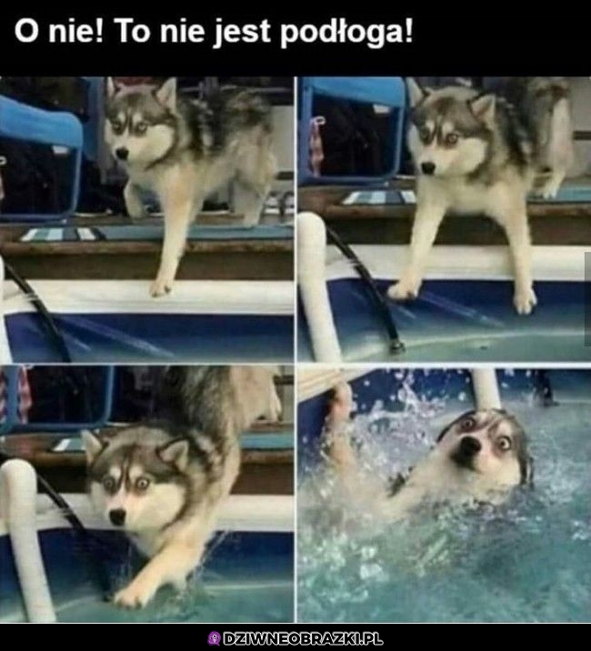 Pomyłeczka