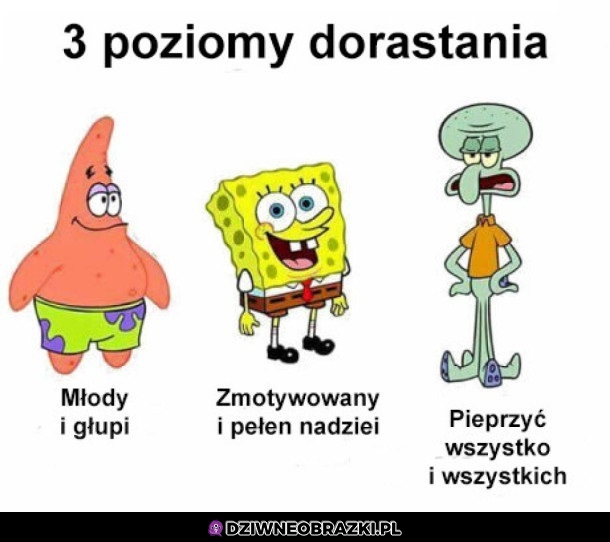 Poziomy dorastania