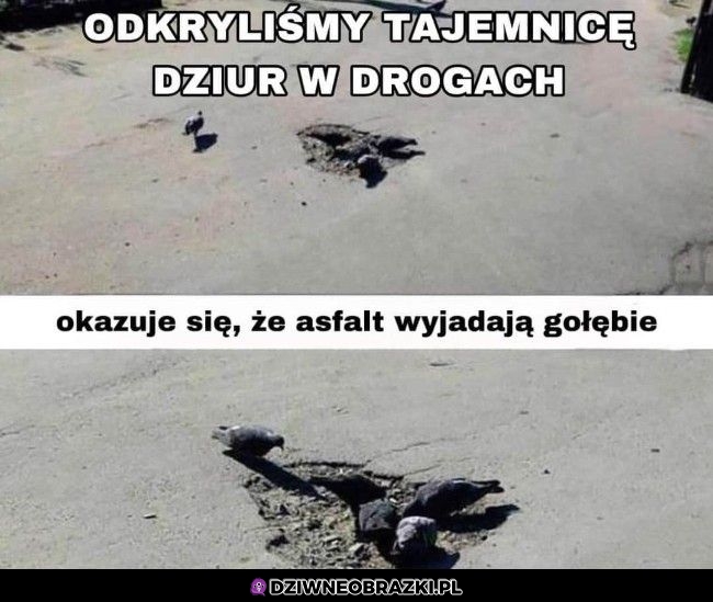 Tajemnica odkryta