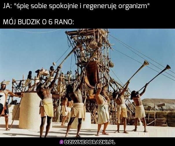 Budzi o 6