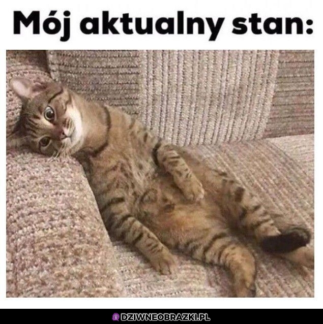 To ja