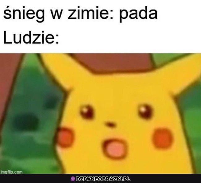 Niesamowite
