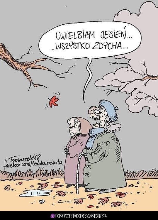 Wspaniała pora roku