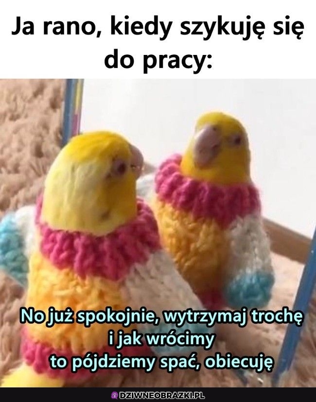 Za każdym razem