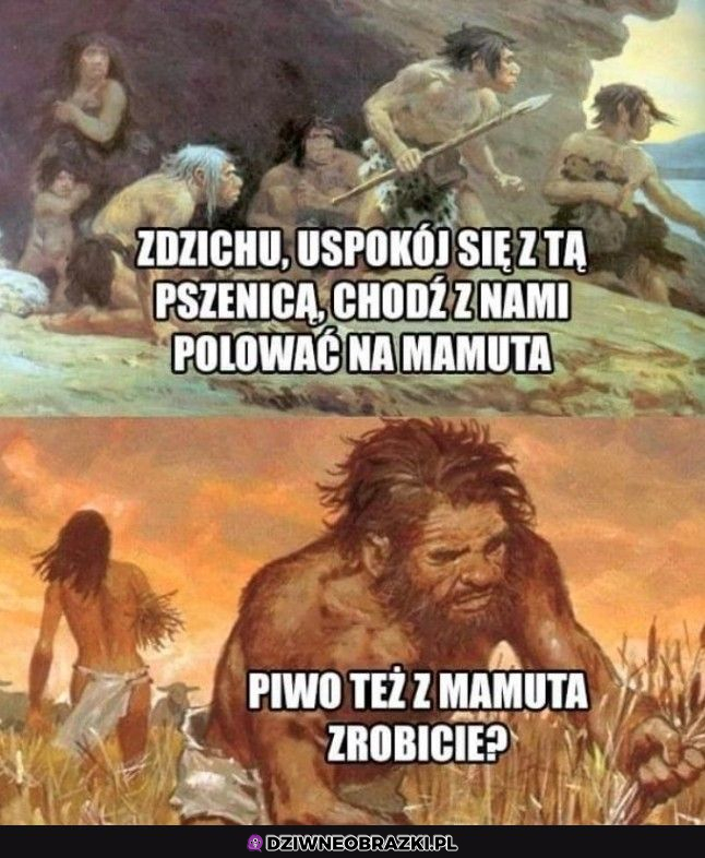 Dziękujemy!