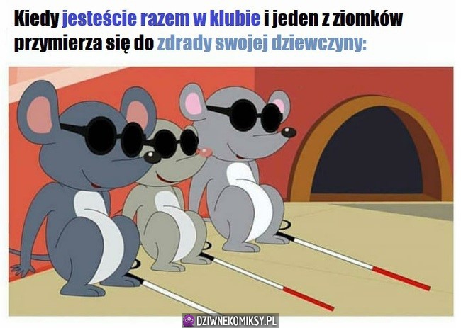 Dobre ziomki