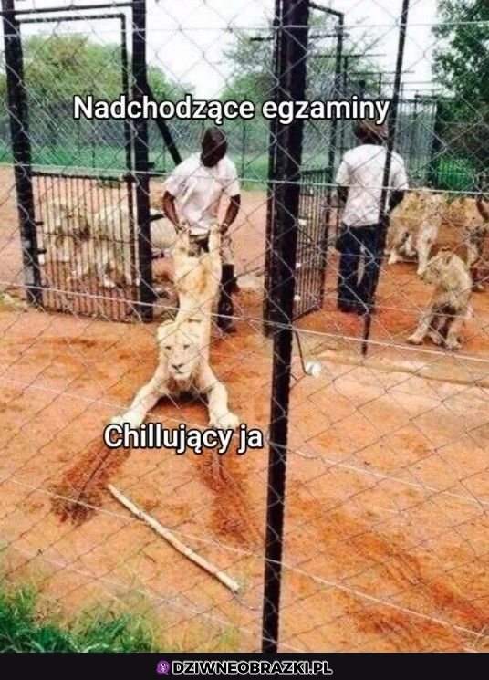 Najgorzej