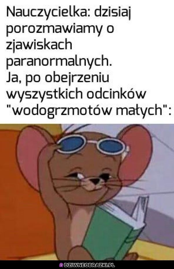 No co tam chce pani wiedzieć?