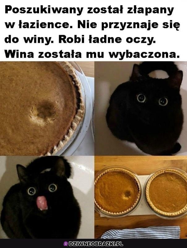Poszukiwany