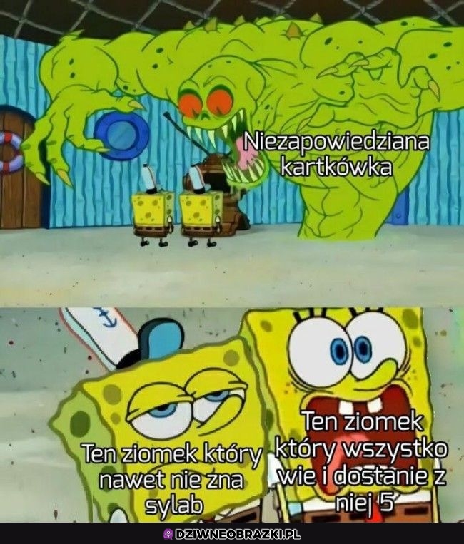 Reakcja na kartkówkę