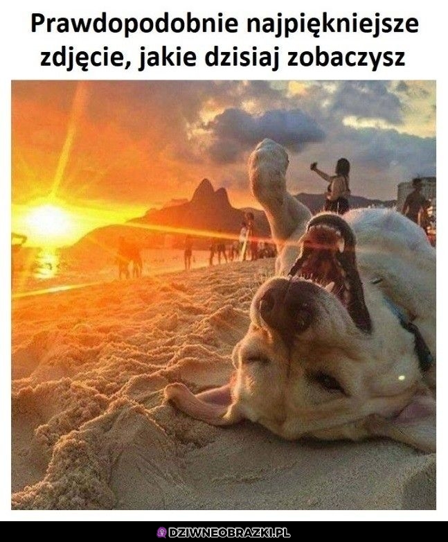 No fajne foto