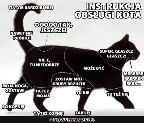 Instrukcja obsługi kotów