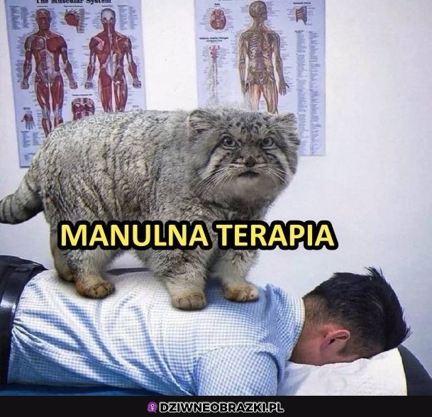 Manualna terapia