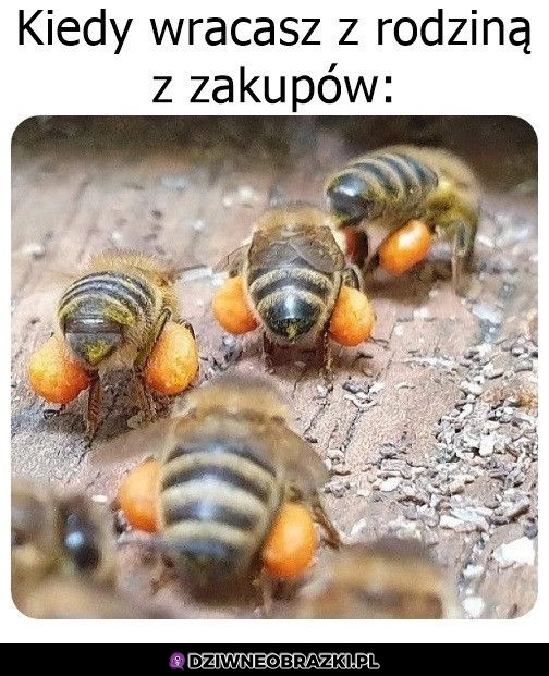 Tak to wygląda