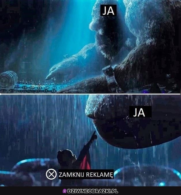 Zawsze