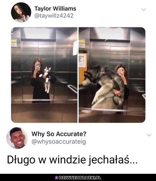 Długa podróż