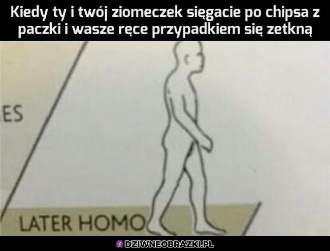 Ten moment
