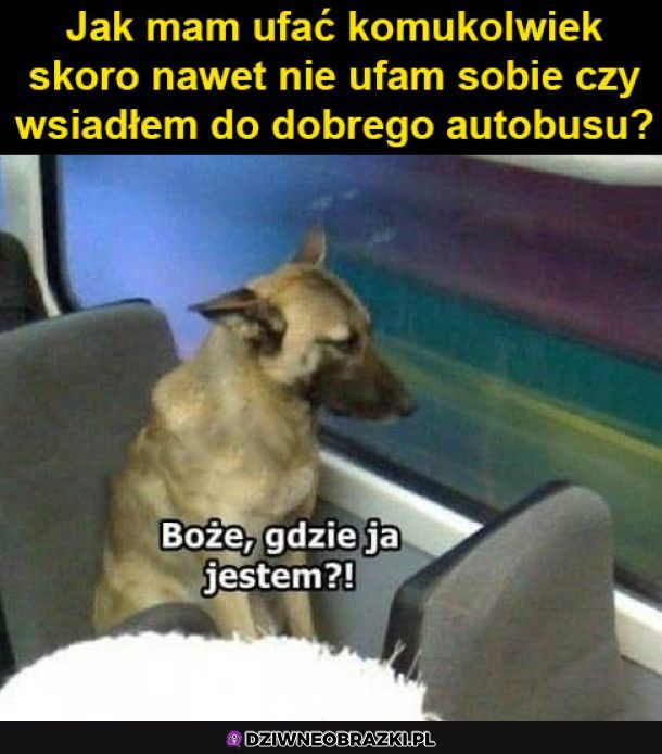 Nie ufam nikomu