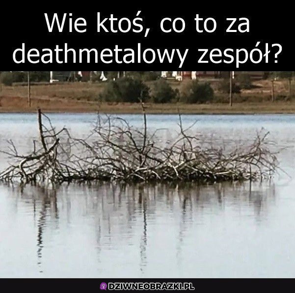 ktoś wie?