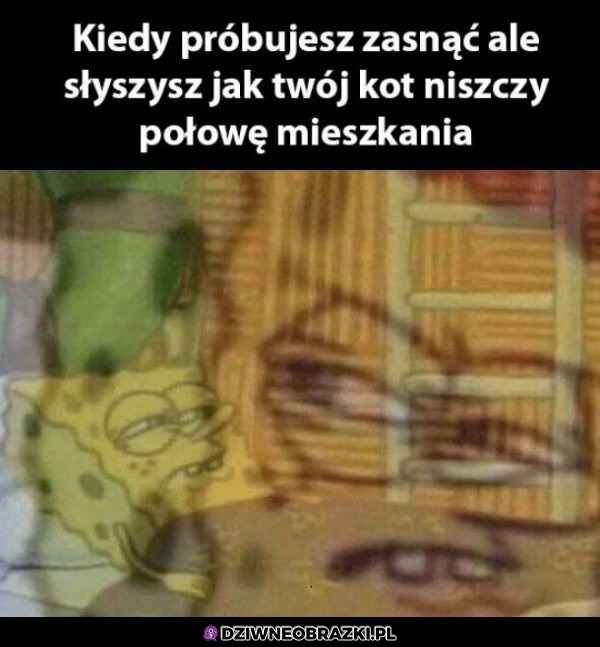 Ten moment
