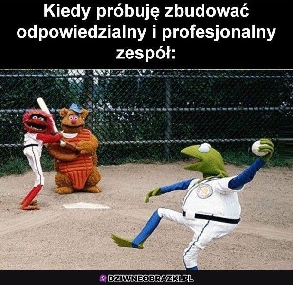 Tak to wygląda