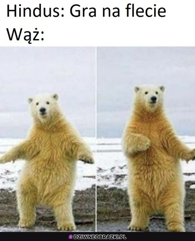 Zawsze