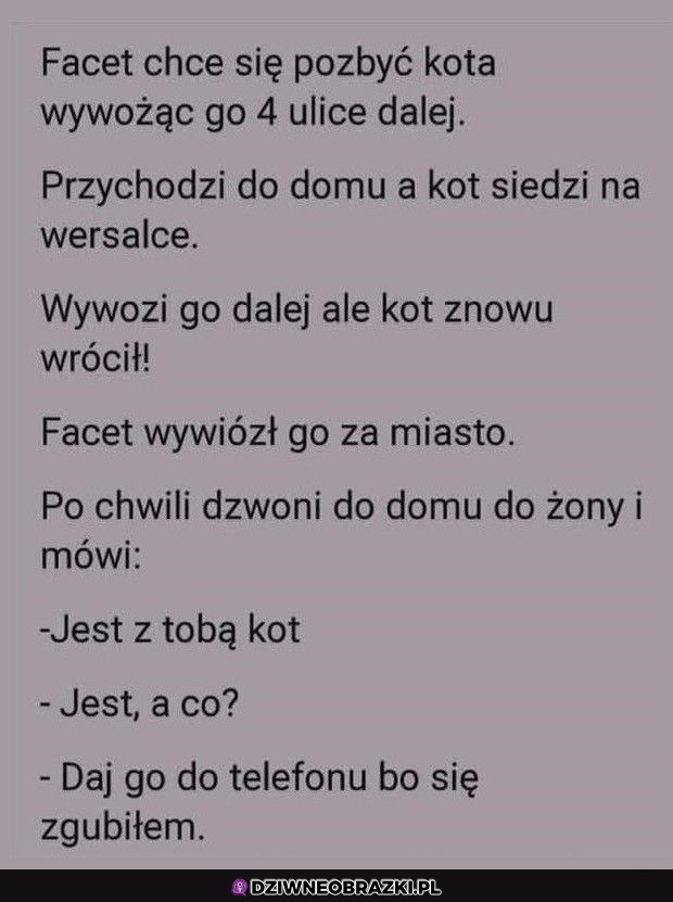 Kiedy chciałeś przechytrzyć kitku