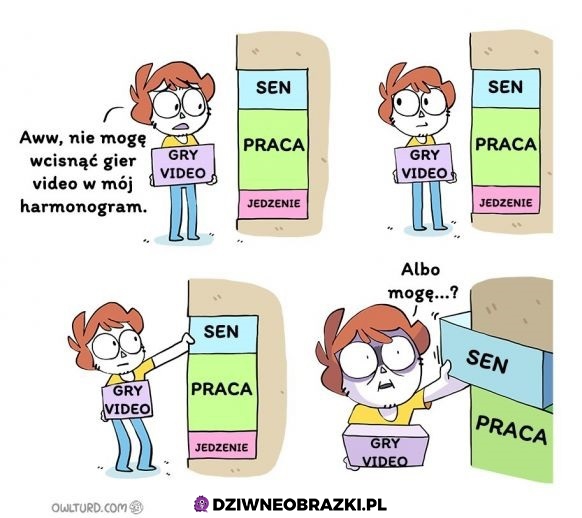 Organizacja