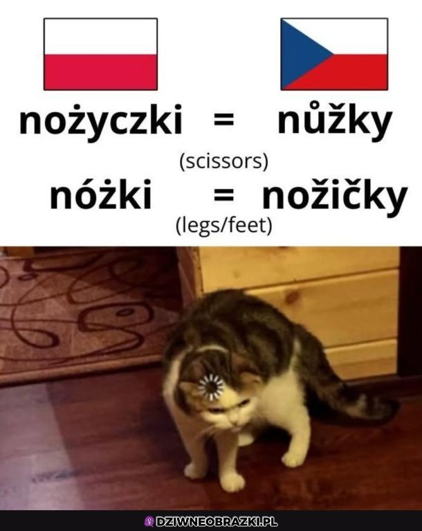 Kto to wymyślił?